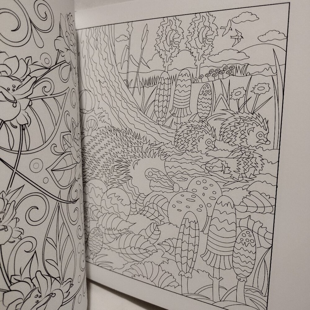 3 Adult Coloring Book Set - Picture 5 of 16